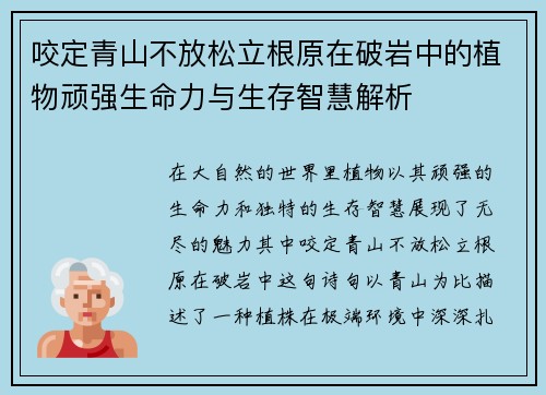 咬定青山不放松立根原在破岩中的植物顽强生命力与生存智慧解析